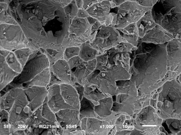 斷口C區(qū)形貌 斷口C區(qū)形貌